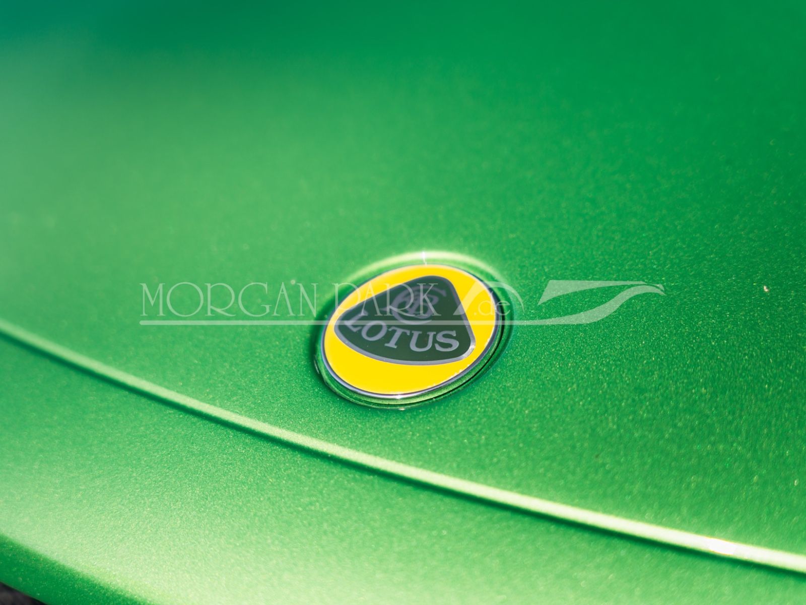 Fahrzeugabbildung Lotus Elise SPORT 220