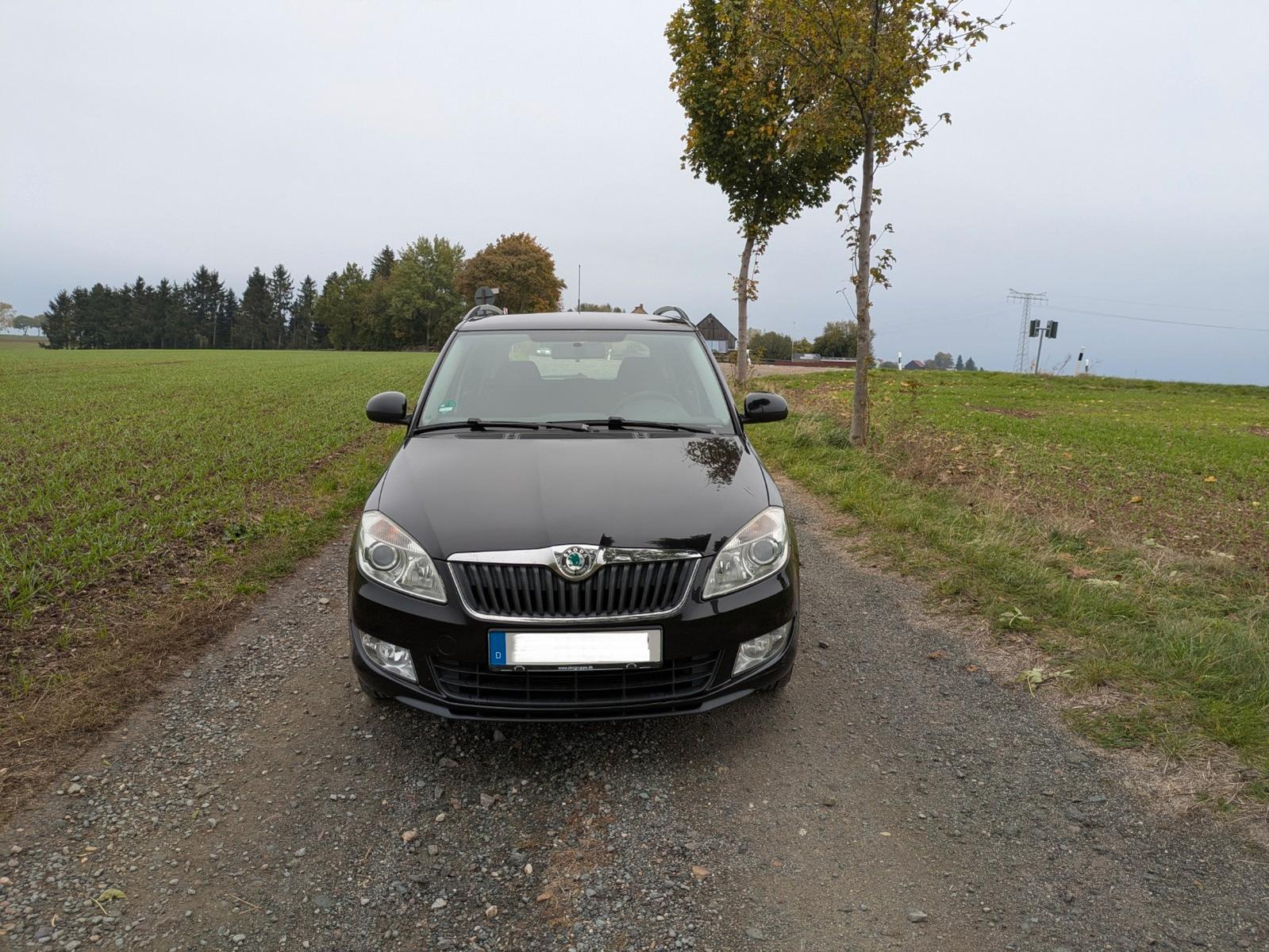 Skoda Fabia 2011 — rear view
