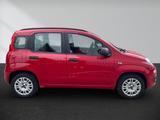 Fiat Panda 1.2 My Panda - Fiat Panda: My
