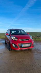 Kia Picanto 1.0 Esition 7 nur 63 000km HU ... - Kia Picanto in Freiburg