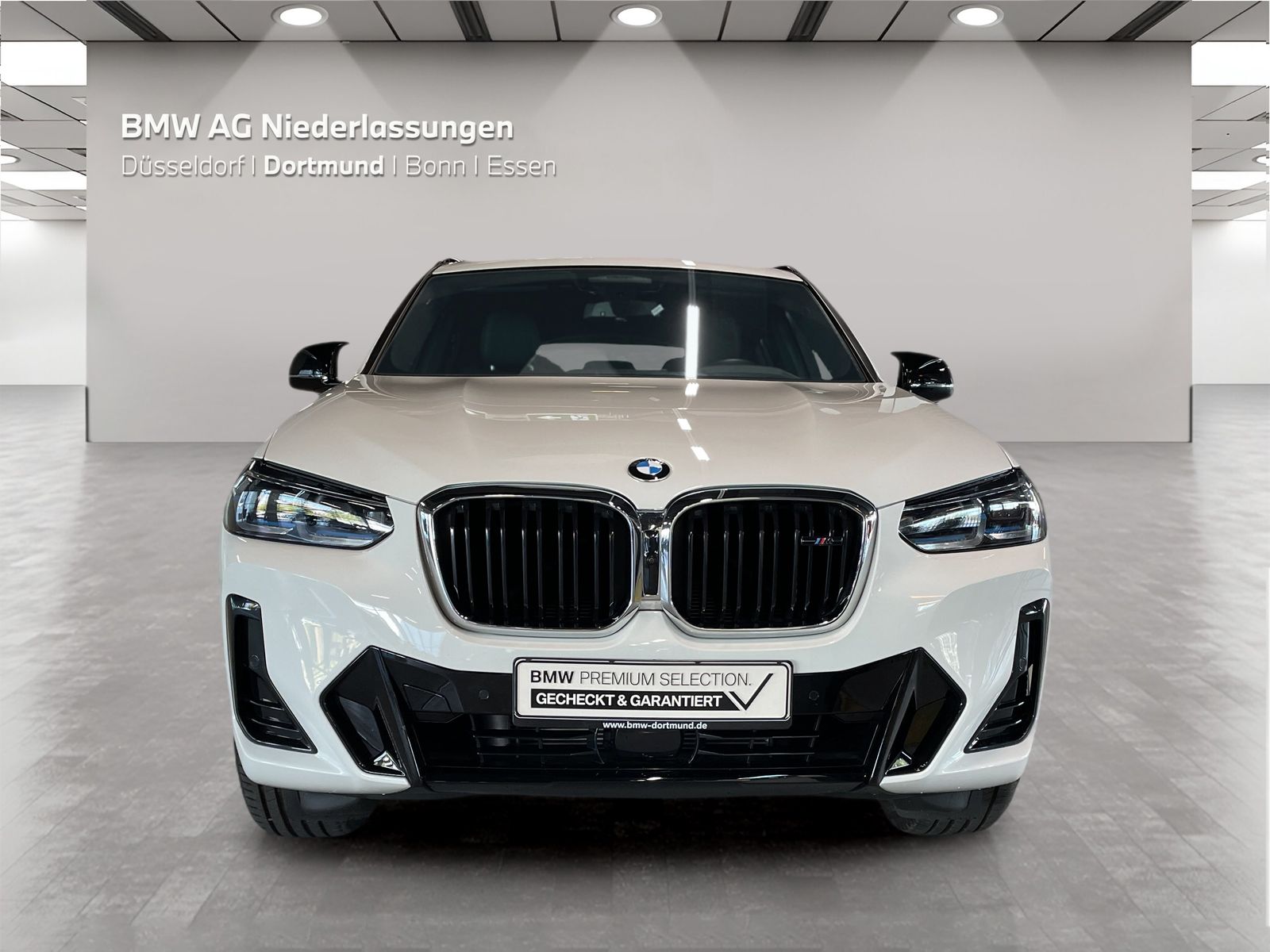BMW X4 M40 - Bild 8