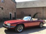 Jaguar XJS V12 Cabrio, 1.Hand, orig. 69.700km