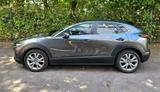 Mazda CX-3C0 2.0 e-SKYACTIV-G M-Hybrid 150 Selectio... - Mazda CX-30 von privat