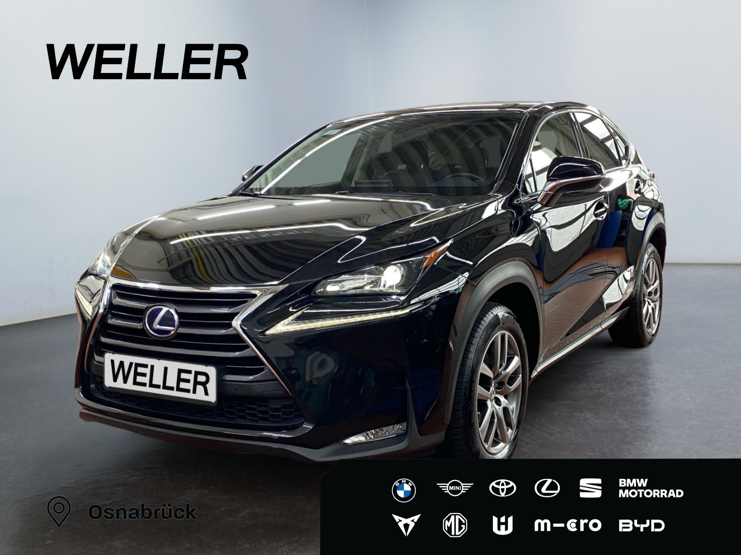 LEXUS NX 300