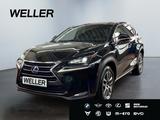 Lexus NX 300h E-FOUR Executive-Line *LED*CAM*Leder*SHZ - Lexus: Allradantrieb