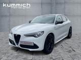 Alfa Romeo Stelvio VELOCE 2.2 Diesel 210 PS - Alfa Romeo Stelvio aus 2021