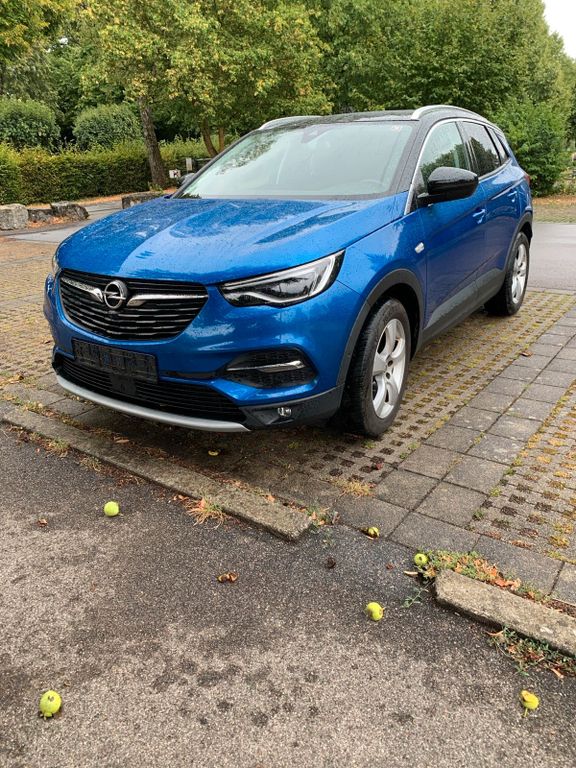 Image of Opel Other