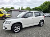 Skoda Yeti Active *1Hand*Inspektion neu*8xBereift* - Skoda Yeti: 1.8