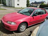 Honda Civic EG3 College - Honda Civic: Eg