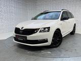Skoda Octavia Combi 2.0 TDI DSG Soleil+LED+ACC+DCC+DAB - Skoda Octavia: Winterreifen