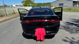 Dodge Charger - Dodge Charger Benzin Gebrauchtwagen