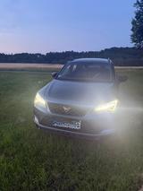 Cupra Ateca 2.0 TSI 221kW 4Drive DSG - - Cupra Ateca von privat