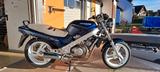 Honda NTV 650 Revere - RC33 - HONDA NTV 650