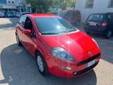 Fiat Punto 1.2 8V 5 porte Lounge - Fiat Punto: Rot