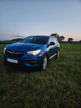 Opel Grandland (X) 1.2 Turbo - Alu - AHK - Scheckheft - Opel in Bayreuth