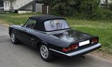 Alfa Romeo Spider