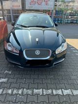 Jaguar XF 3Liter Diesel wenig Laufleistung - Jaguar XF in Bochum