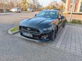 Ford Mustang GT V8 | Premium Paket 2  - Ford Mustang: Premium