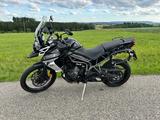 Triumph Tiger 800 XCX: TFT, top gewartet, Koffersystem - Angebote