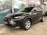 Lexus NX 300h E-FOUR Luxury Line - Lexus NX Luxury-Line