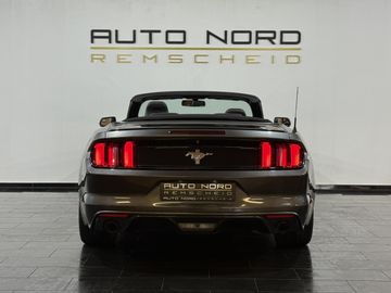 Ford Mustang - 6
