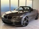 BMW M240 i-Leder/H-K/LED/RFK/CarPlay/Leder - BMW M-Modelle in Hamburg