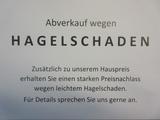 Challenger 260 Graphite Ed./AT/Arctic/Solar - Hagel! - Challenger Diesel Teilintegrierter