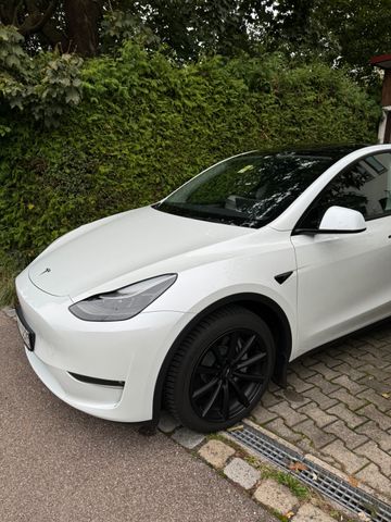 Tesla Model Y Long Range Dual Motor