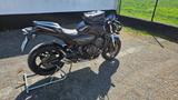 Honda Hornet PC 41 - Offers matching your search criteria