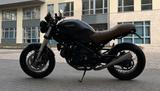 Ducati Monster 695 - DUCATI MONSTER 695