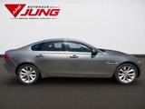 Jaguar XF 20t Portfolio *NAVI*SITZ-HZ.*KAMERA - Jaguar XF Gebrauchtwagen