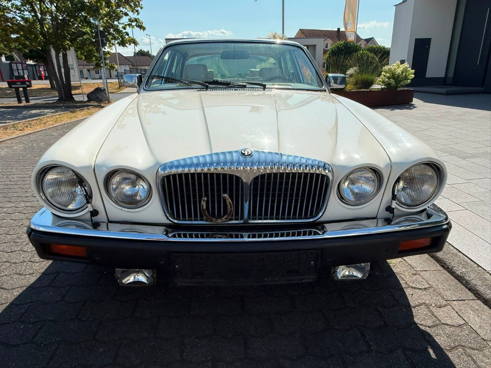 Fahrzeugabbildung Jaguar XJ12 Double Six Serie 3 Daimler H-KENNZEICHEN