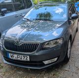 Skoda Octavia 1.6 TDI Joy Combi Joy