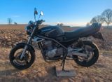 Kawasaki ER-5 | A2 | TÜV neu | 53.600 km | BJ 2005 - KAWASAKI ER5