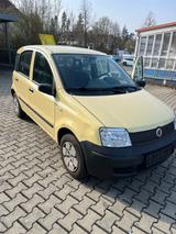 Fiat Panda - Fiat Panda Gebrauchtwagen in Nürnberg