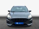 Ford Kuga 2.0 EcoBlue Aut. ST-LINE - Ford Kuga: Grau