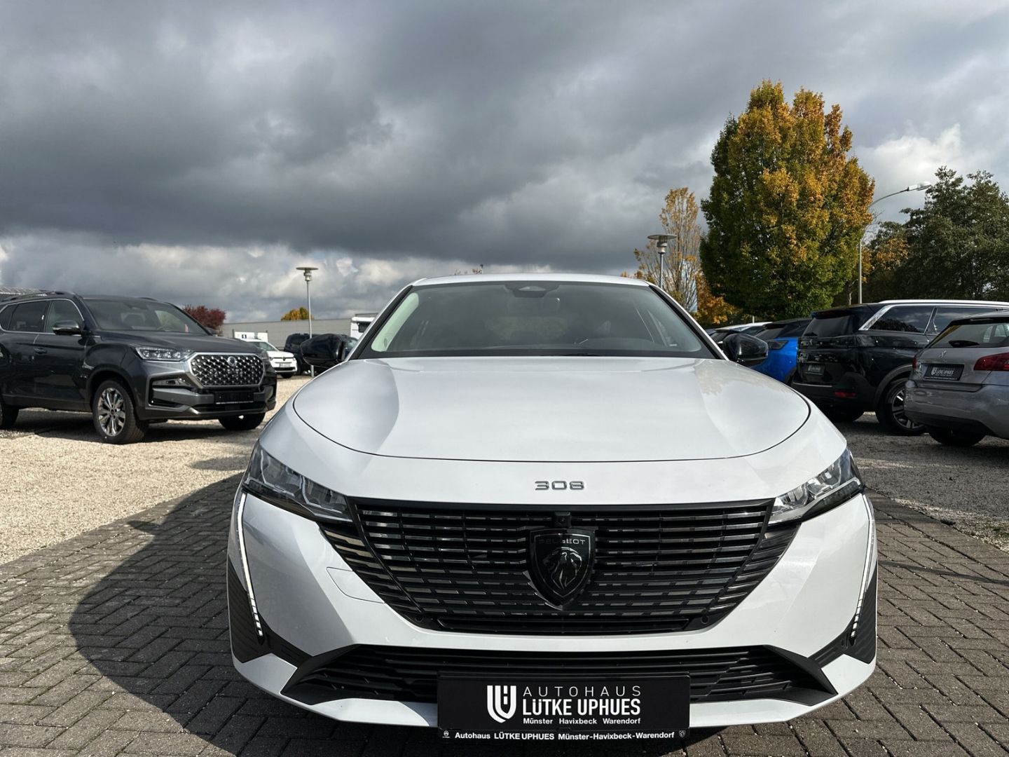 Fahrzeugabbildung Peugeot 308 Allure Blue HDi 130 EAT8 Navi 360 Kamera ACC