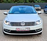 Volkswagen CC 2.0TDI DGS BMT-PANODACH-LEDER-ACC- - VW CC Diesel Gebrauchtwagen