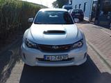 Subaru WRX STI 2.5 Sport Sport - Subaru WRX STI Sport mit Benzin-Antrieb