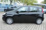 Fiat Panda Easy * Klima * PDC * 1. Hand * - Fiat Panda Gebrauchtwagen in Mülheim (Ruhr)
