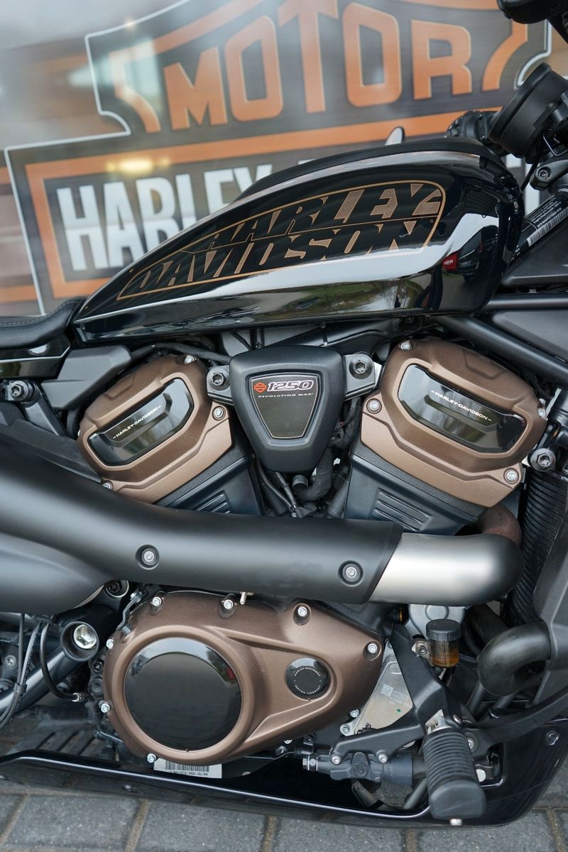 Fahrzeugabbildung Harley-Davidson Sportster S mit LED Blinkern & KZH seitl.