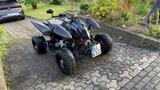 Access Motor Triton 450 | Black Lizzard - QUAD VON 251 BIS 500 CCM