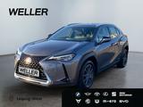 Lexus UX 250h LAUNCH EDITION *SHZ*PDC*RCam*ACC* - gebrauchte Lexus SUV & Geländewagen
