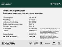 Skoda Karoq - Vorschau Bild 4