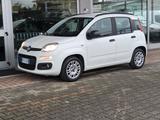 Fiat Panda 1.2 EasyPower Lounge - Fiat Panda mit LPG-Antrieb