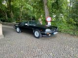 Jaguar XJS V12 Cabrio H-Kennzeichen TÜV neu - Jaguar XJS: Cabrio, V12
