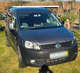 Volkswagen Caddy Maxi Allrad Roncalli 2.0 ... - Volkswagen Caddy Maxi: Roncalli