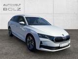 Skoda Octavia Combi 2.0 TDI Selection AHK Panodach Sou - Skoda Octavia: Kombi