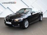 BMW i Cabrio Leder Navi MWST - BMW 218 in Düsseldorf