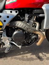 Fantic Caballero 500 50th Anniversary Edition - FANTIC MOTORRAD